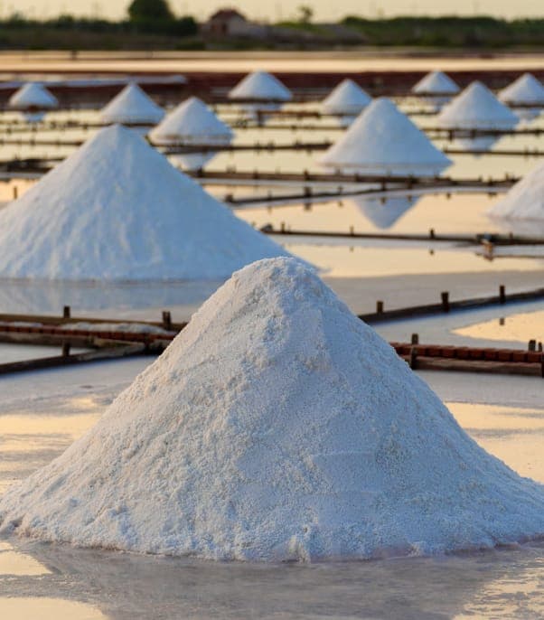 Salt Piles